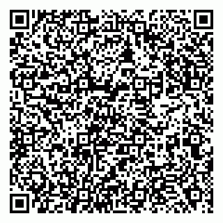 vCard 79138263377