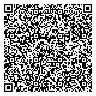 vCard 79138263379