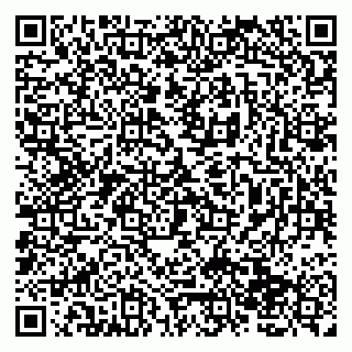 vCard 79138263383