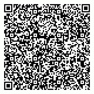 vCard 79138263397