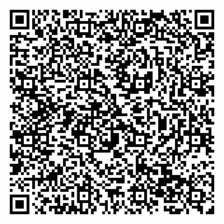 vCard 79138263447