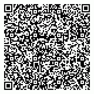 vCard 79138263449