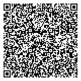 vCard 79138263602