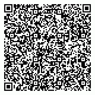 vCard 79138263970