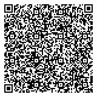 vCard 79138264013