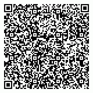 vCard 79138264141