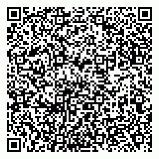 vCard 79138264199