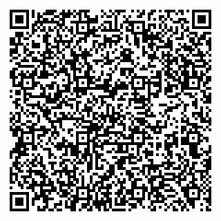 vCard 79138264237