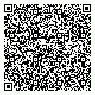 vCard 79138264286
