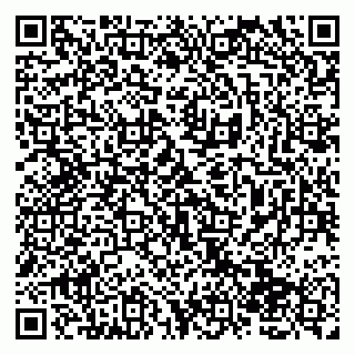 vCard 79138264303