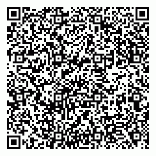 vCard 79138264331
