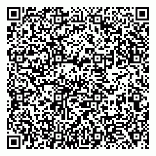 vCard 79138264385