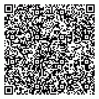 vCard 79138264685