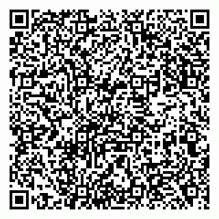 vCard 79138264697