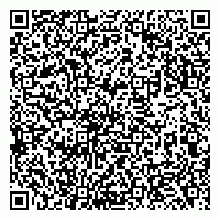 vCard 79138264698