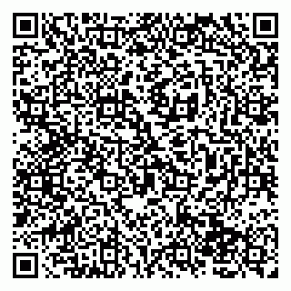 vCard 79138264702