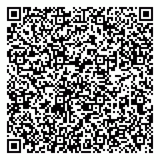 vCard 79138264709