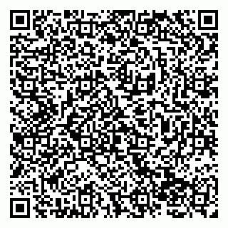vCard 79138265010