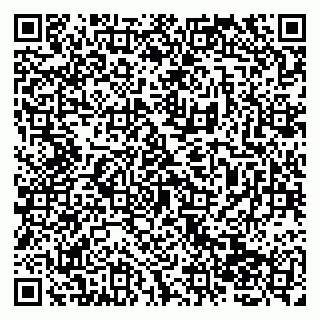 vCard 79138265017
