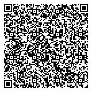 vCard 79138265018