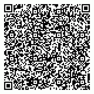 vCard 79138265035