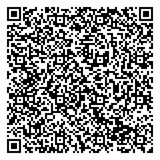 vCard 79138265100