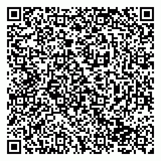 vCard 79138265103