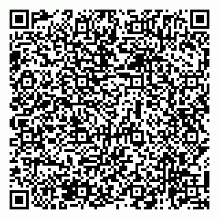 vCard 79138265104