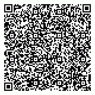 vCard 79138265117
