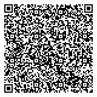 vCard 79138265121