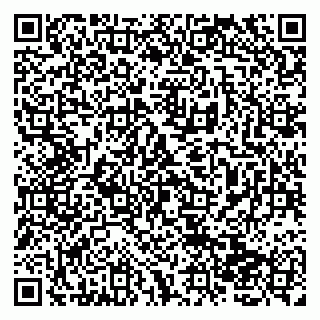 vCard 79138265133