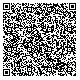 vCard 79138265141