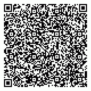 vCard 79138265147