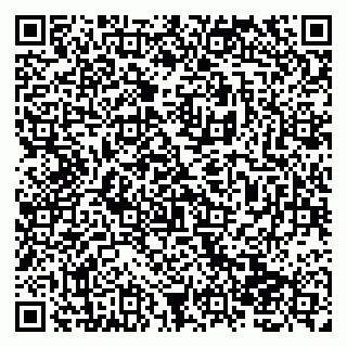 vCard 79138265154