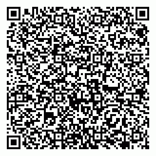 vCard 79138265156
