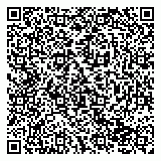 vCard 79138265158