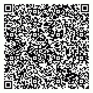 vCard 79138265168