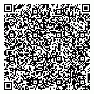 vCard 79138265174