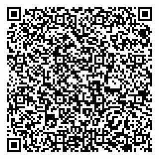vCard 79138265176