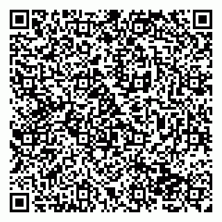 vCard 79138265178