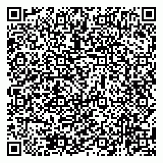 vCard 79138265180
