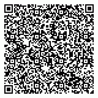 vCard 79138265185