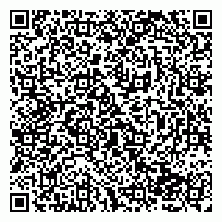 vCard 79138265196