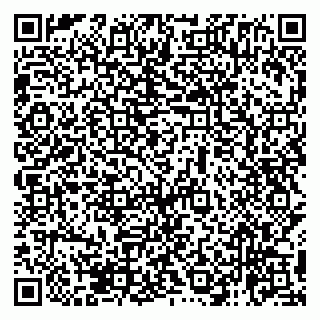 vCard 79138265197
