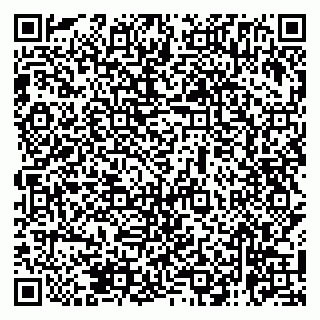 vCard 79138265203