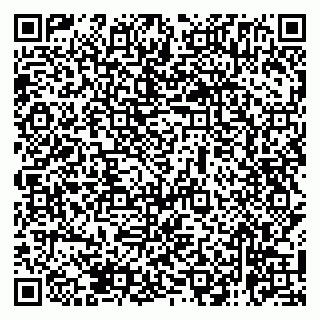vCard 79138265204