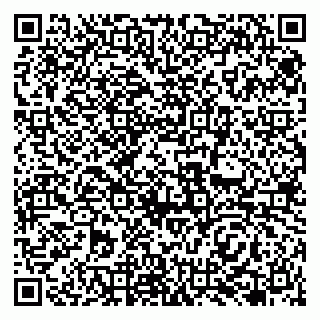 vCard 79138265205