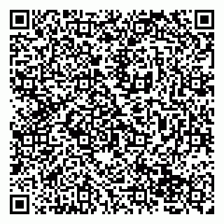 vCard 79138265208
