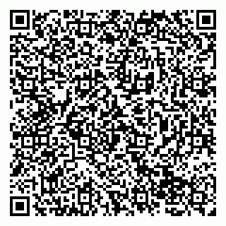 vCard 79138265209