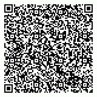 vCard 79138265221